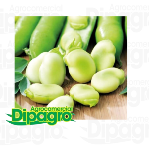 HABA SUPER AGUA DULCE 25 KG