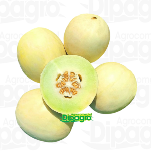 MELON DREAM DEW 5000 SEM