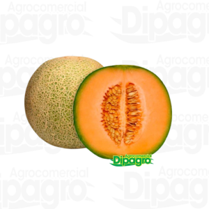 MELON OFEK 1000 SEM APROX