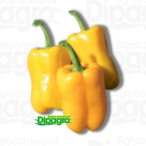 PIMIENTO FAVOLOR