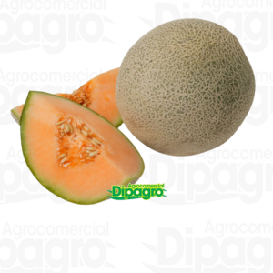 MELON GOLIAT 5.000 SEM