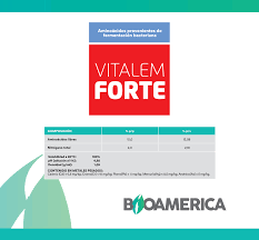 VITALEM FORTE LT